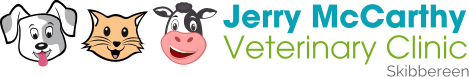 Jerry McCarthy Veterinary Clinic